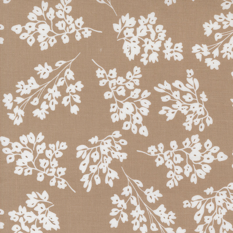 Botany Quilt Fabric - Seedlings in Earth Tan - 11555 13