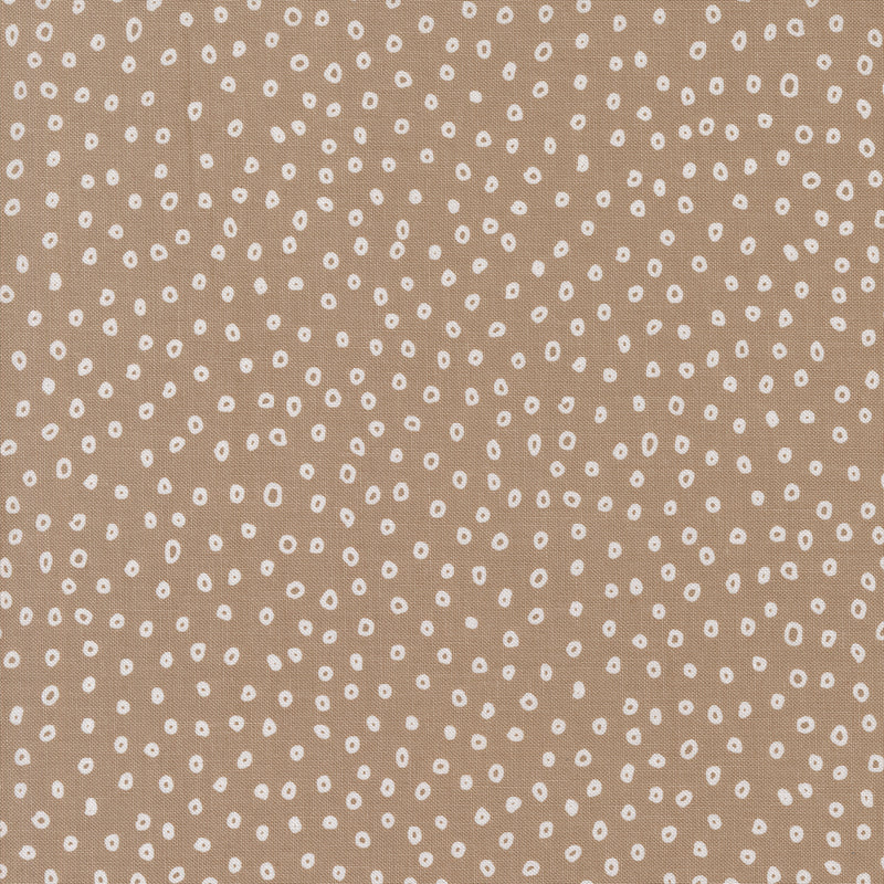 Botany Quilt Fabric - Seeds in Earth Tan - 11556 23