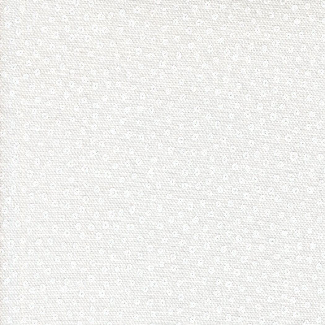 Botany Quilt Fabric - Seeds in Paper White - 11556 11