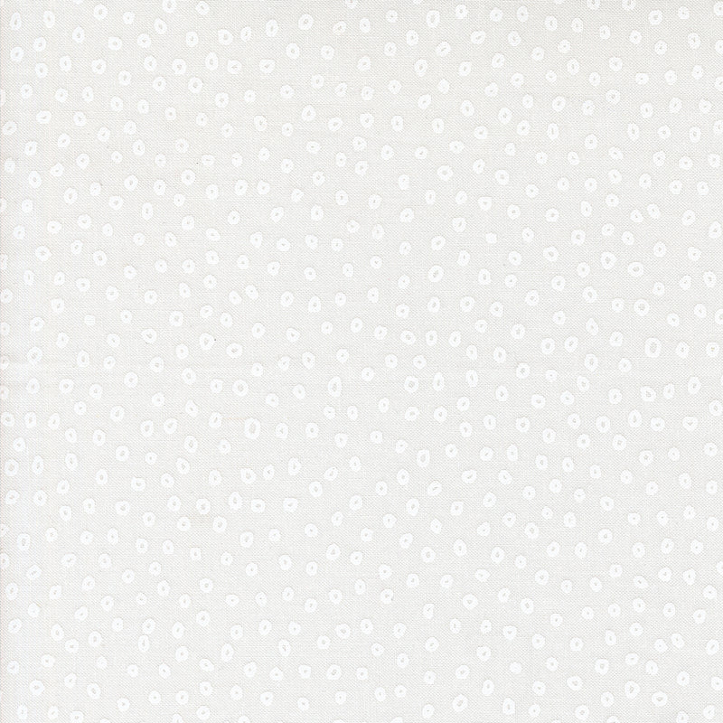 Botany Quilt Fabric - Seeds in Paper White - 11556 11