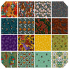 Garden Bed Quilt Fabric - 16 piece Fat Quarter Bundle - FB4FQRH.GARDEN