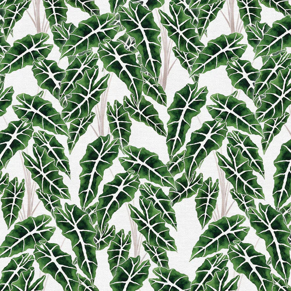 Modern Botanicals Quilt Fabric - Alocasia in White/Green - 12021481