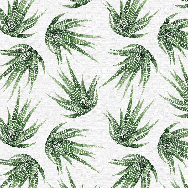 Modern Botanicals Quilt Fabric - Haworthia in White/Green - 12021487