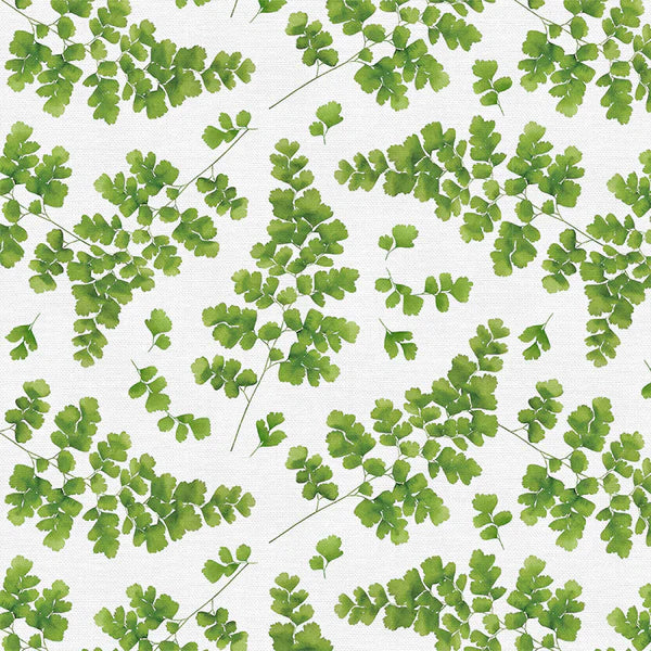 Modern Botanicals Quilt Fabric - Maidenhair in White/Green - 12021484