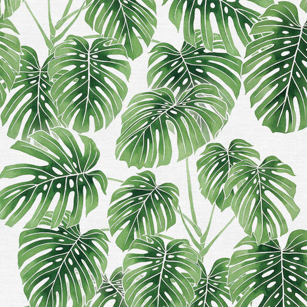 Modern Botanicals Quilt Fabric - Monstera in White/Green - 12021480