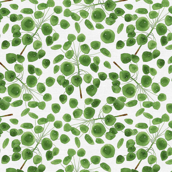 Modern Botanicals Quilt Fabric - Pilea in White/Green - 12021485