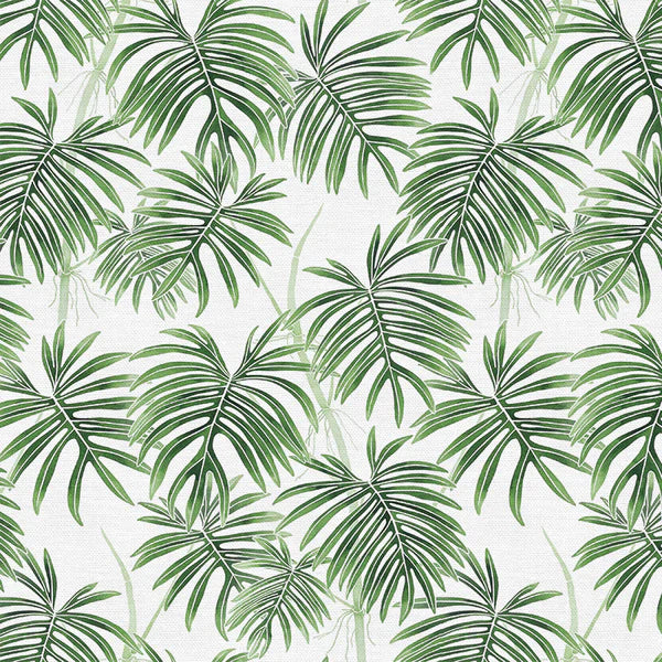 Modern Botanicals Quilt Fabric - Radiatum in White/Green - 12021482