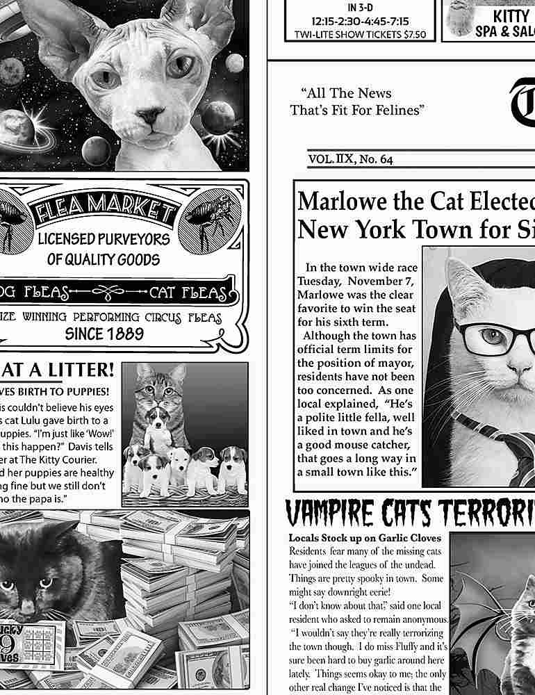 Quirky Cats Quilt Fabric - Cat Newspaper in Newsprint Black/White - CAT-CD6705 NEWSPRINT