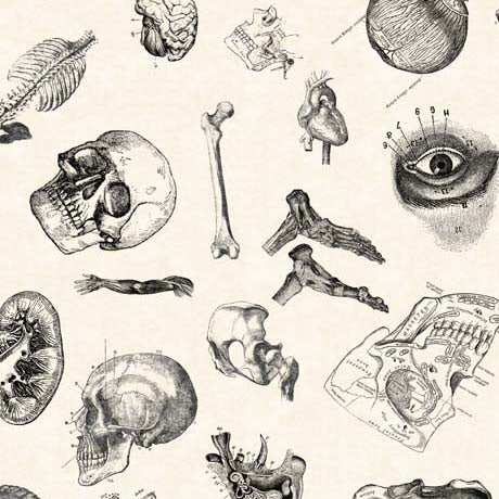 True Detective Quilt Fabric - Anatomy Toss in Beige - 2600 30718 E