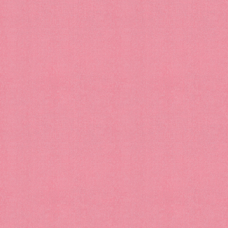 Warp and Weft Hue Crossweaves Quilt Fabric by Ruby Star Society - Flora Pink - RS4108 27