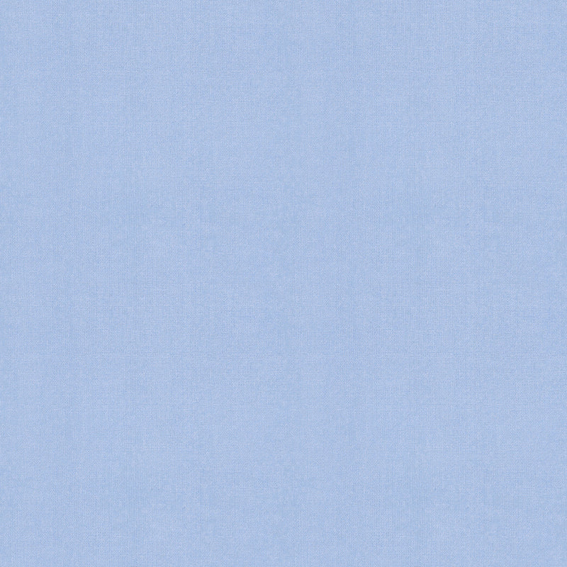 Warp and Weft Hue Crossweaves Quilt Fabric by Ruby Star Society - Water Blue - RS4108 16